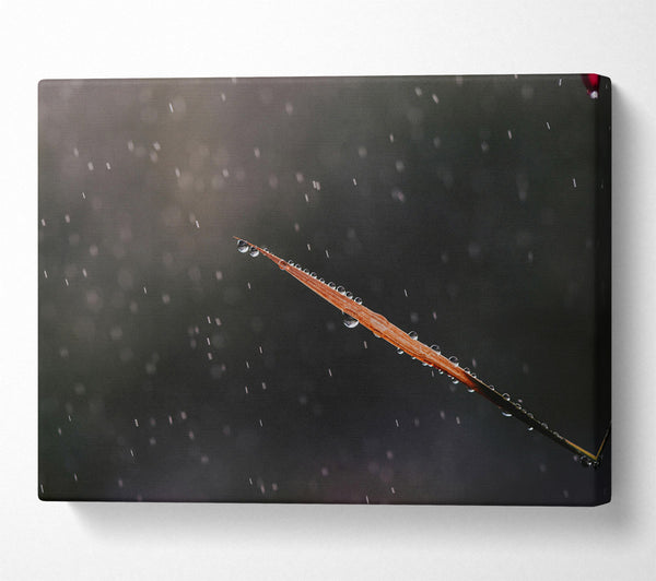  A Canvas Print of The Gray Rain Drop Canvas Art