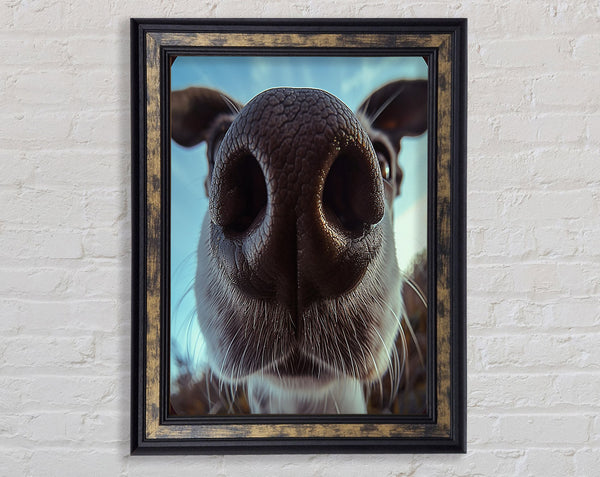 Dog Sniff Framed Print