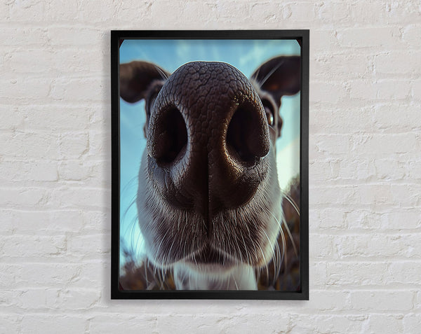 Dog Sniff Framed Print