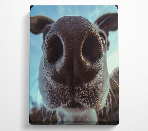  A Canvas Print of Dog Sniff Canvas Art