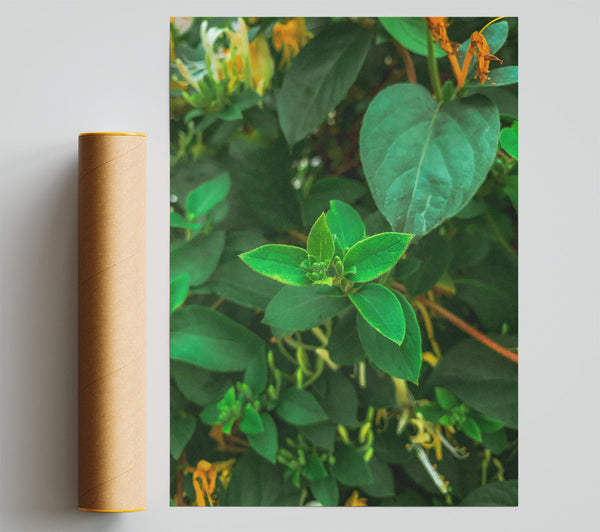 Emerald Green Sprout Giclee Print