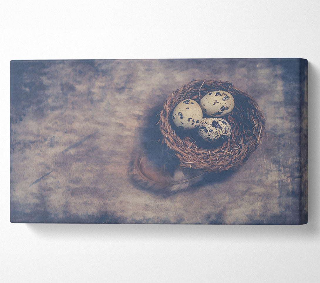  A Canvas Print of Dusty Grey Nestlings Canvas Art