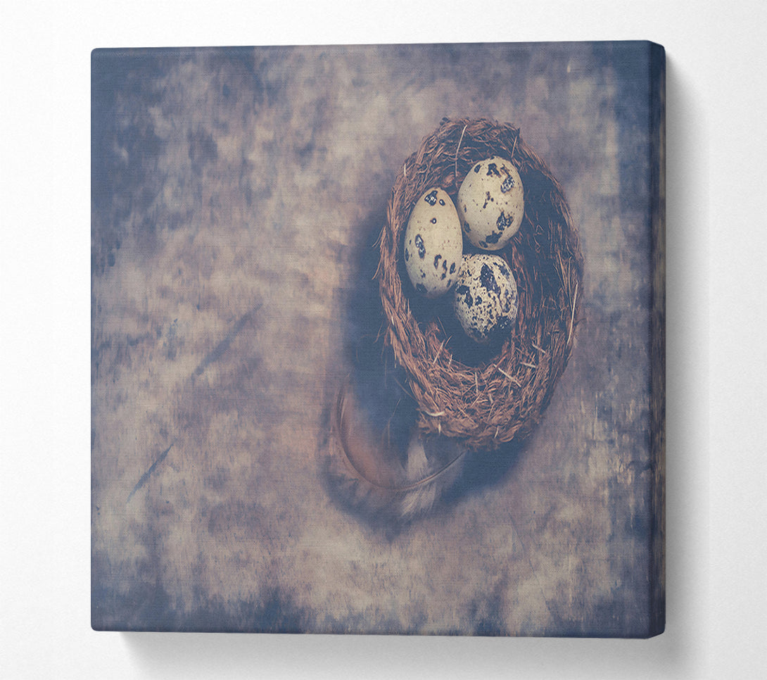  A Canvas Print of Dusty Grey Nestlings Canvas Art