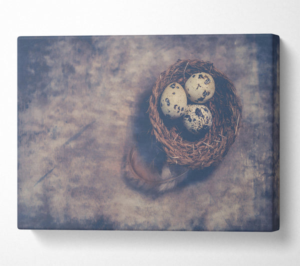  A Canvas Print of Dusty Grey Nestlings Canvas Art