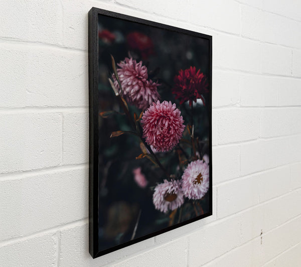 Pink Blooms In Darkness