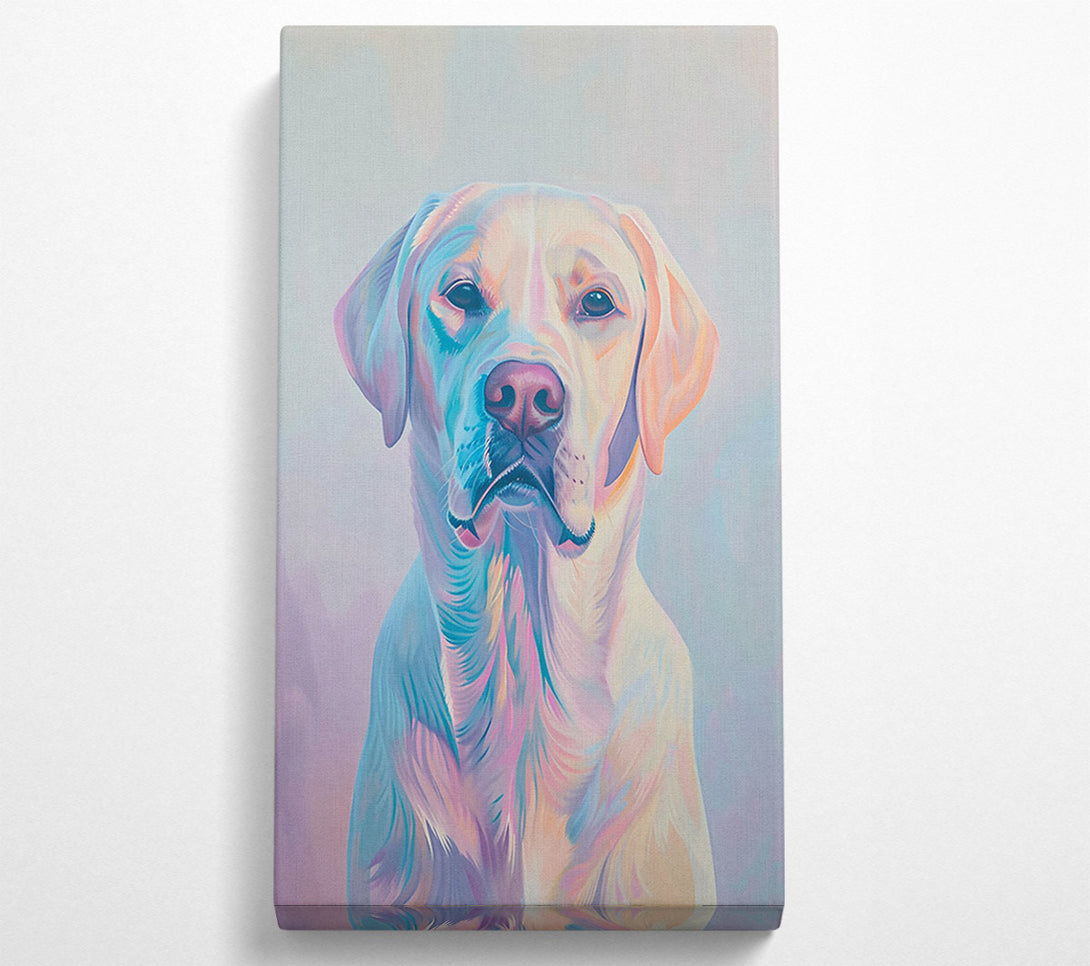  A Canvas Print of Azure Lab Gaze Canvas Wall Art