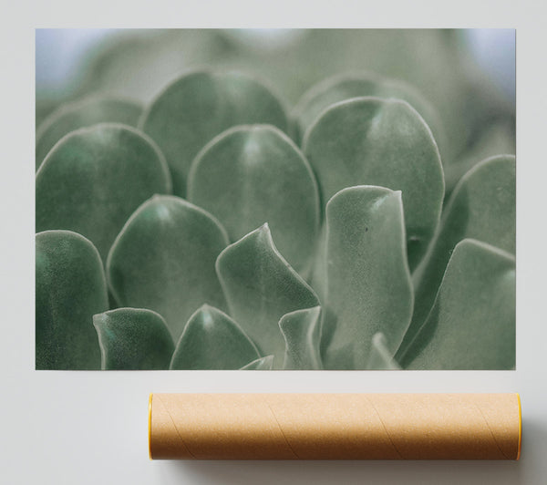 Emerald Succulent Embrace Poster
