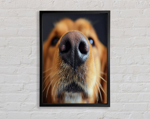 Dog Sniffing Framed Print