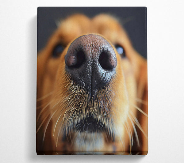  A Canvas Print of Dog Sniffing Canvas Wall Art