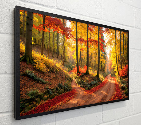 Crimson Autumn Path