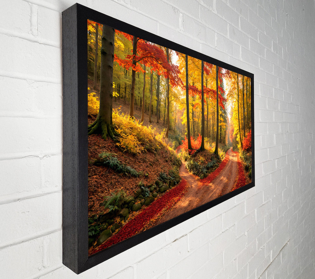  A Canvas Print of Crimson Autumn Path Canvas Art
