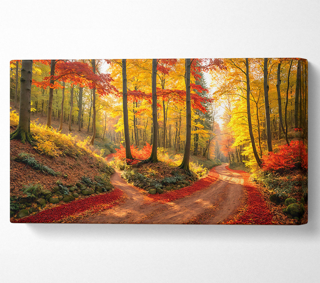  A Canvas Print of Crimson Autumn Path Canvas Art