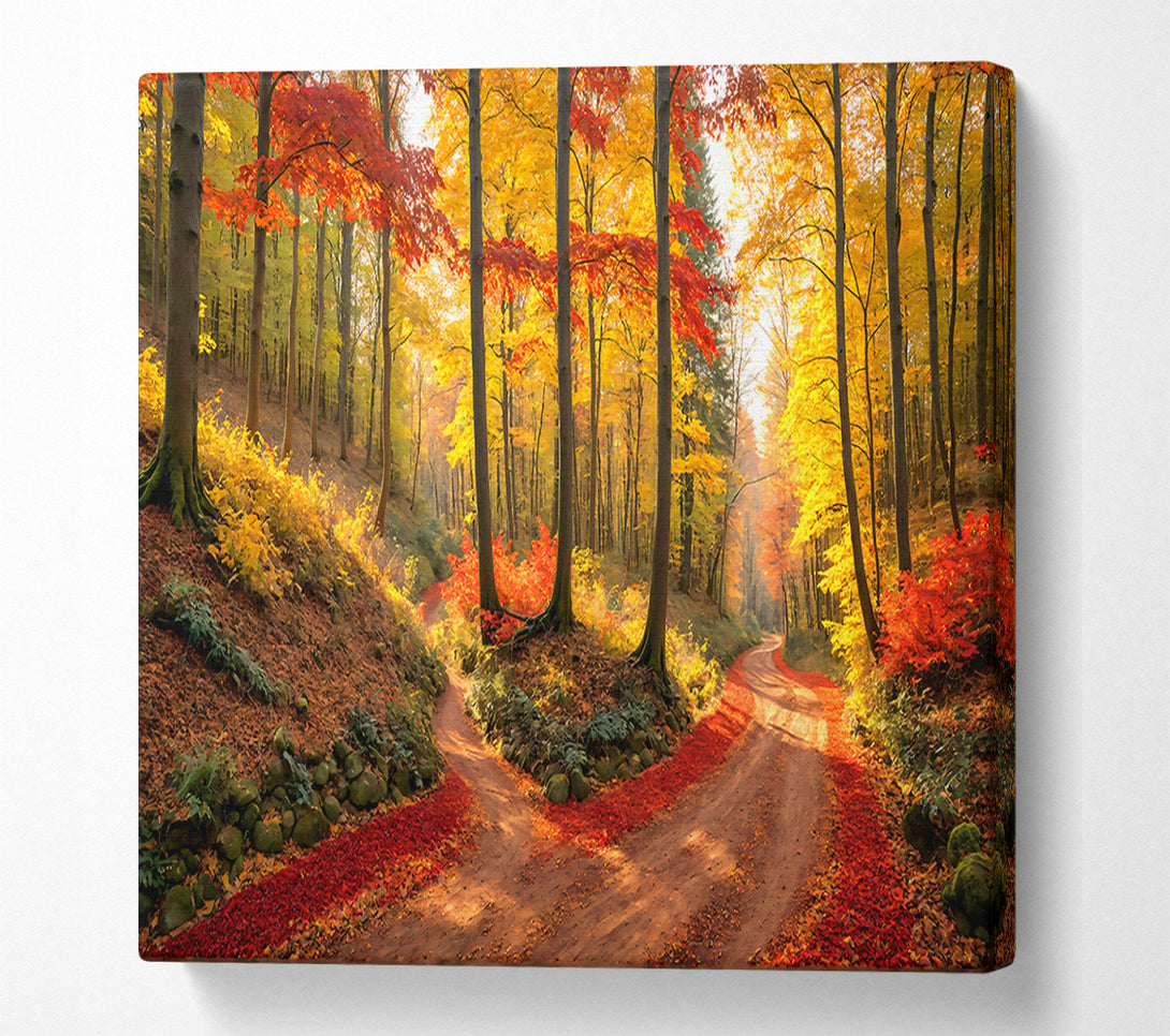  A Canvas Print of Crimson Autumn Path Canvas Art