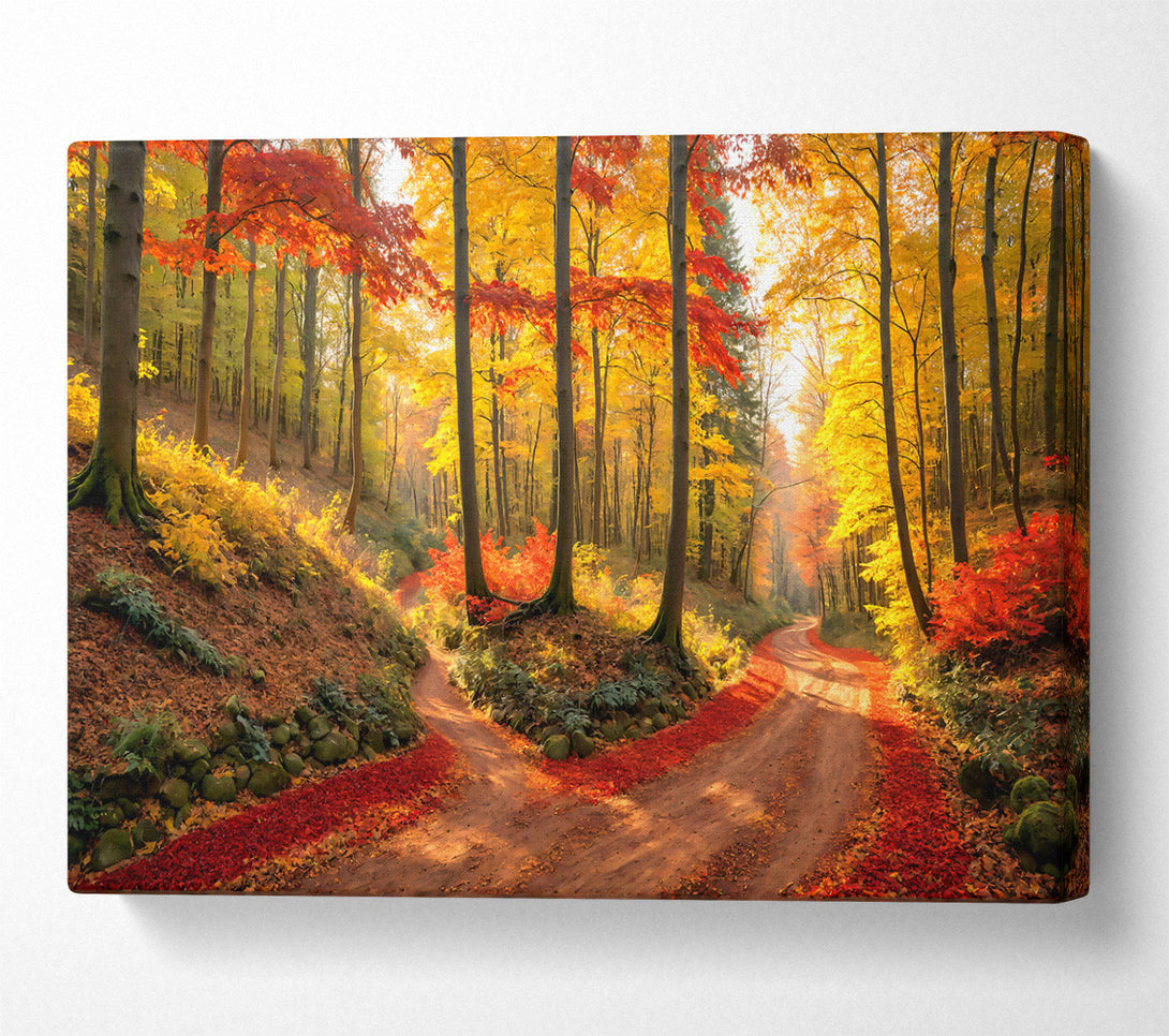  A Canvas Print of Crimson Autumn Path Canvas Art