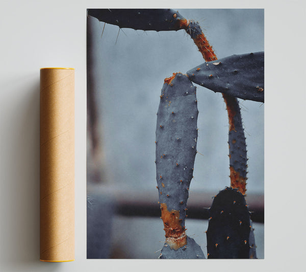 Azure Prickly Embrace Print