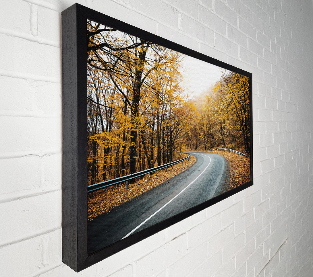  A Canvas Print of Golden Road Through Trees Canvas Print