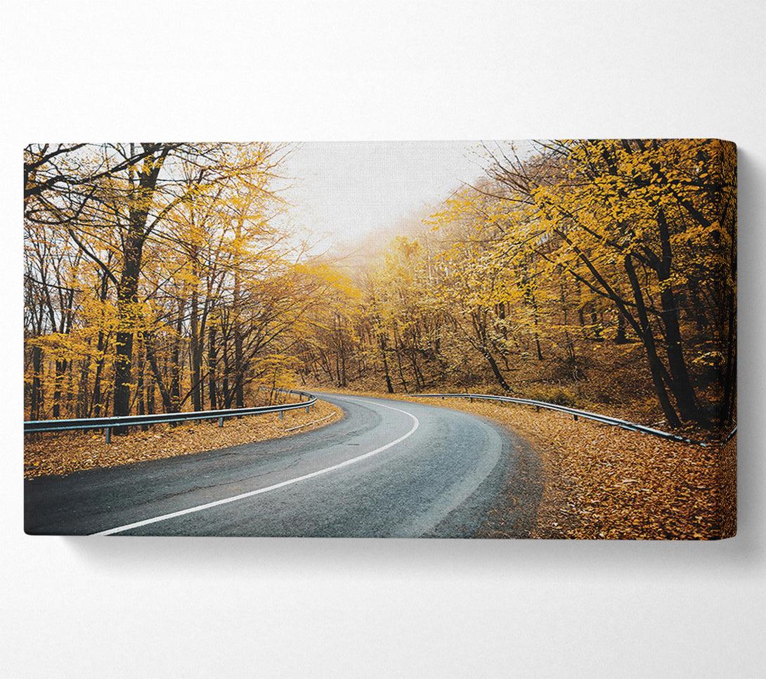  A Canvas Print of Golden Road Through Trees Canvas Print