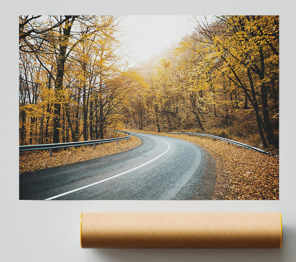 Golden Road Through Trees Poster
