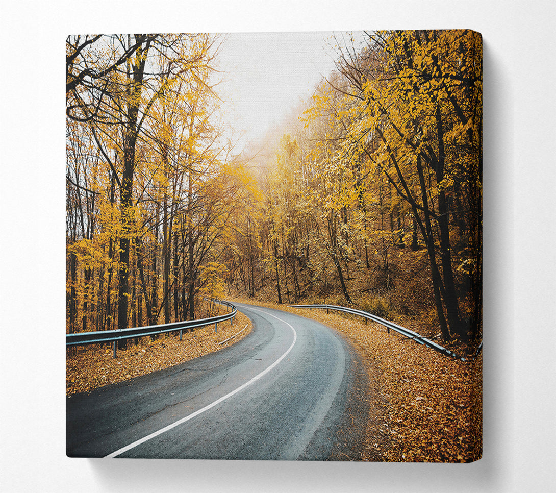 A Canvas Print of Golden Road Through Trees Canvas Print