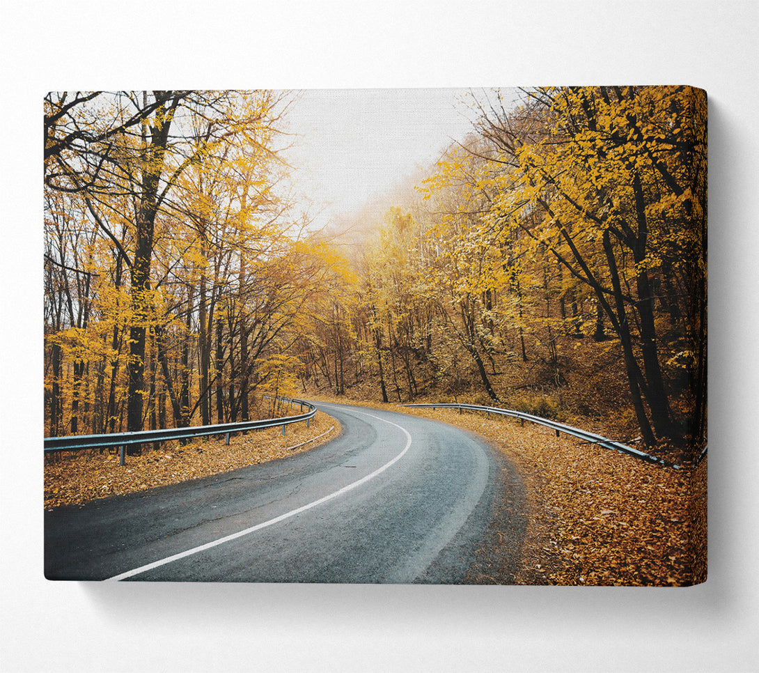  A Canvas Print of Golden Road Through Trees Canvas Print
