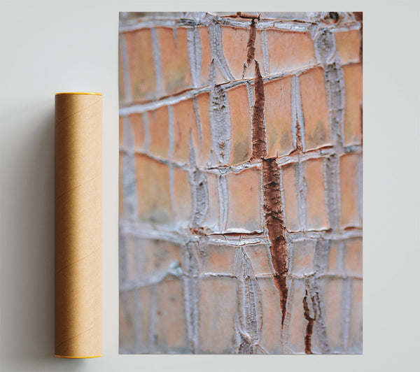 Peach Tree Bark Print