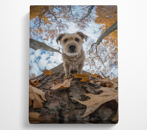  A Canvas Print of Dog Walking Down The Tree Canvas Art