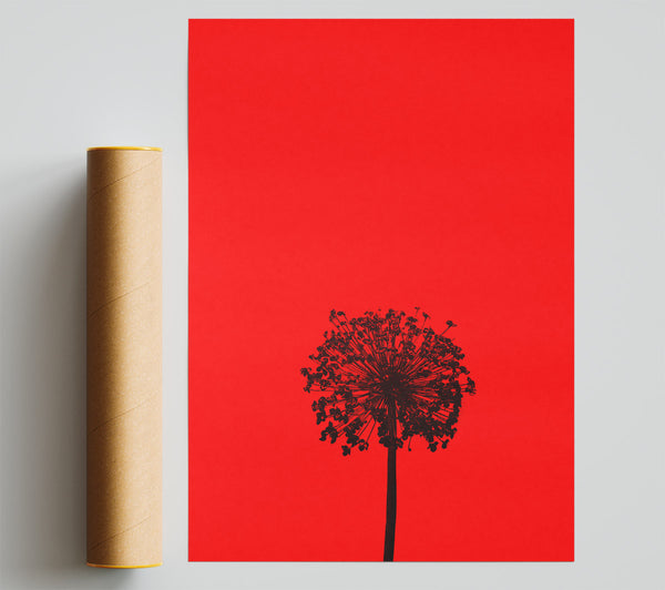 Red Bloom Silhouette Giclee Print