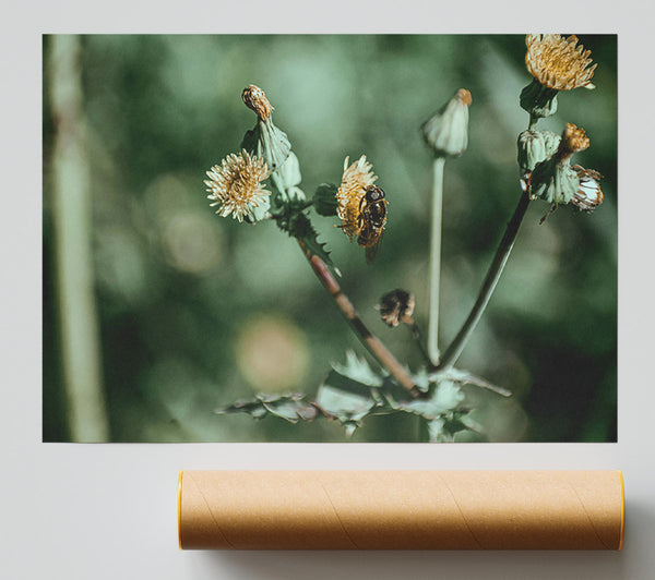Green Buzzing Bloom Poster