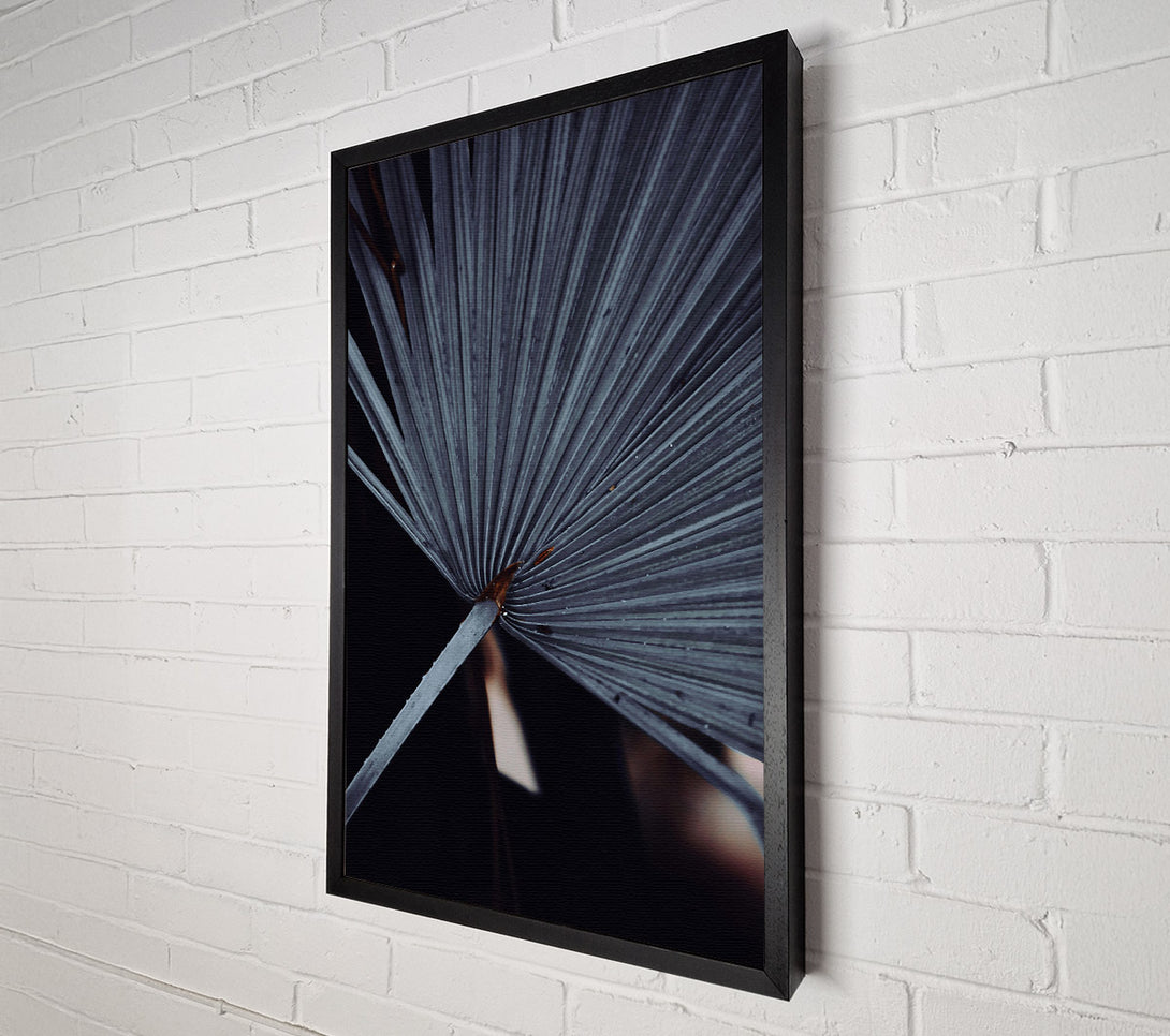  A Canvas Print of The Grey Palm Frond Canvas Wall Art