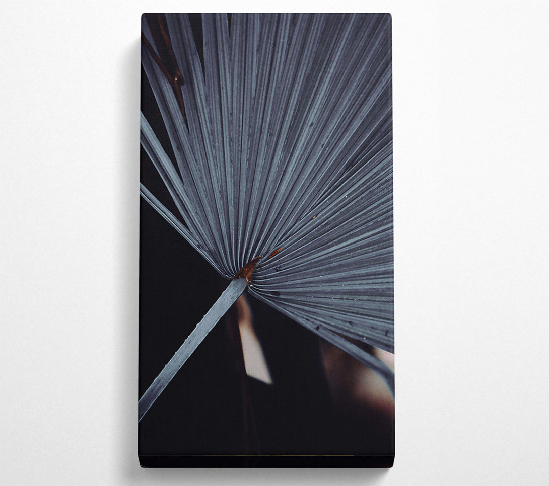  A Canvas Print of The Grey Palm Frond Canvas Wall Art