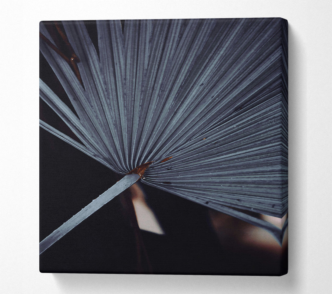  A Canvas Print of The Grey Palm Frond Canvas Wall Art