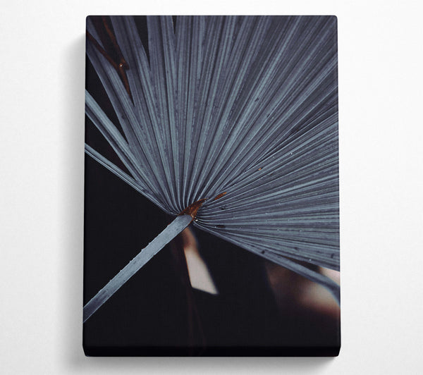  A Canvas Print of The Grey Palm Frond Canvas Wall Art