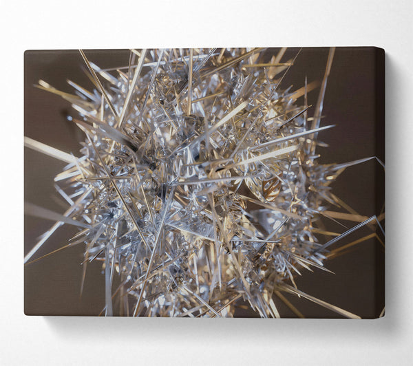 A Canvas Print of Silver Spiked Cluster Canvas Wall Art
