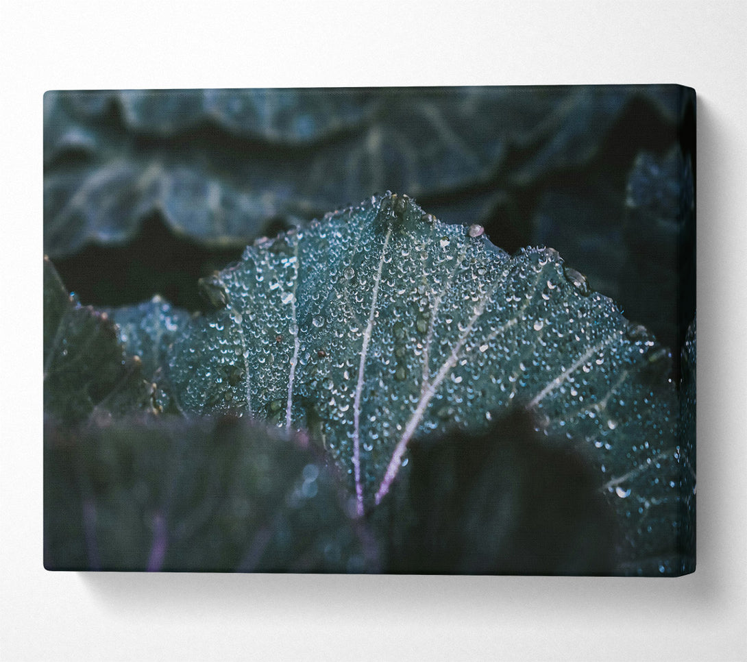  A Canvas Print of Emerald Dew Drops Canvas Wall Art