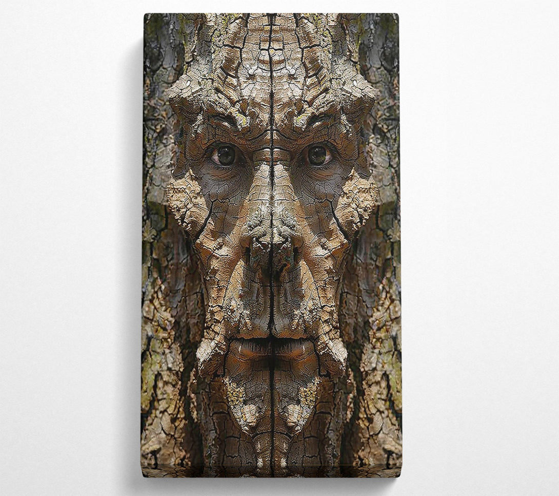  A Canvas Print of The Brown Bark Face Canvas Art