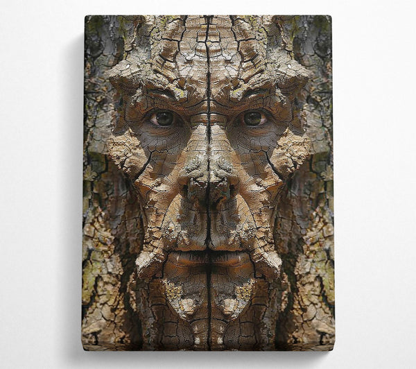  A Canvas Print of The Brown Bark Face Canvas Art