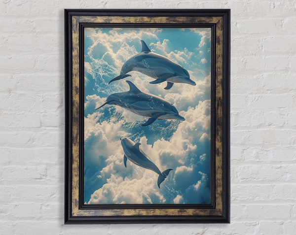 Dolphins In The Sky Framed Print