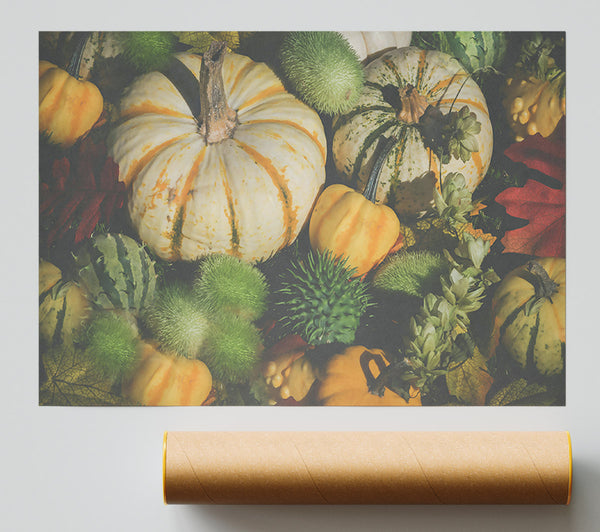Autumn'S Creamy Harvest Poster
