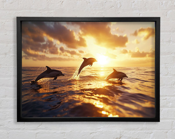 Dolphins Jumping Out The Sea Framed Print