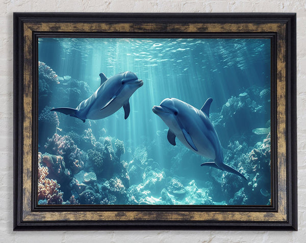 Dolphins Playing Framed Print