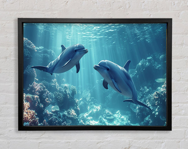 Dolphins Playing Framed Print