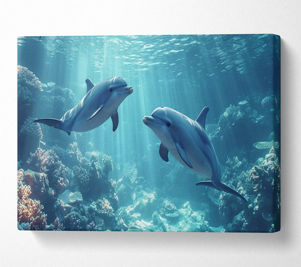  A Canvas Print of Dolphins Playing Canvas Print