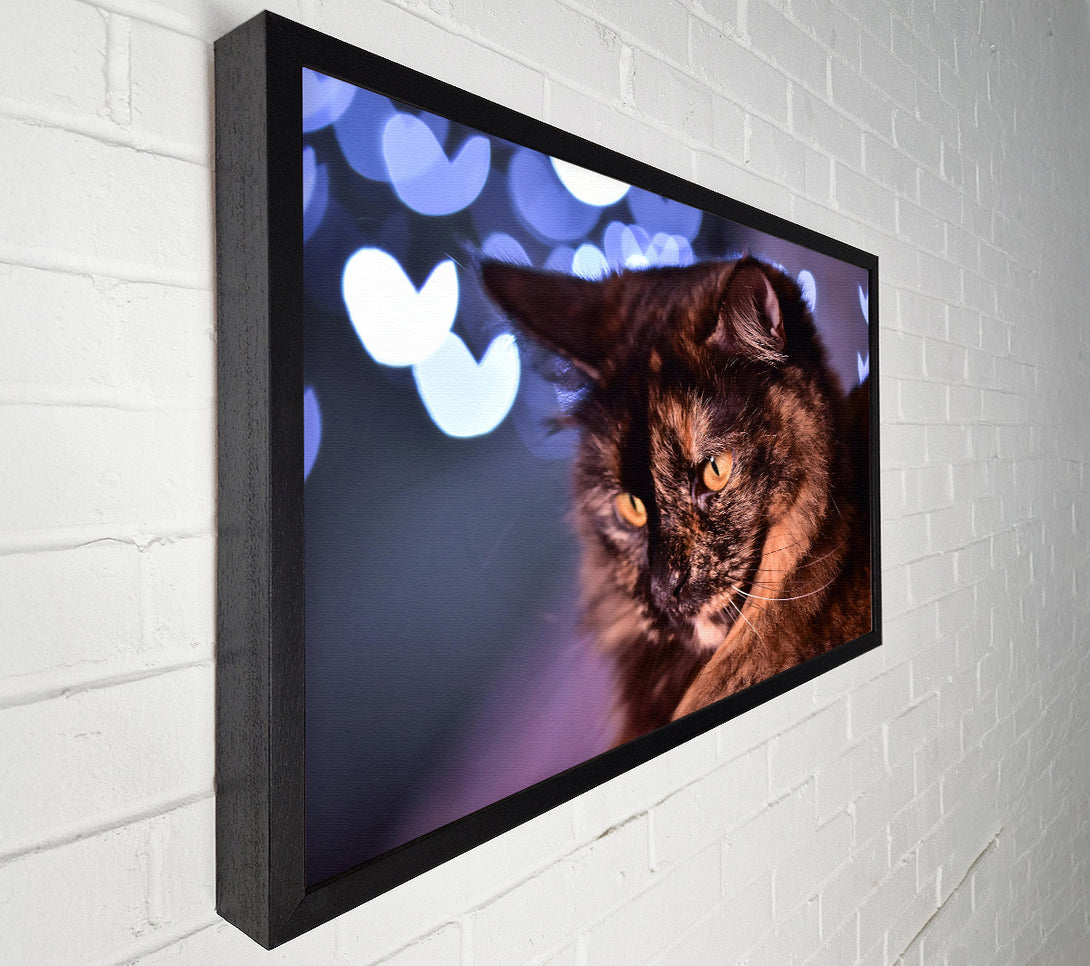  A Canvas Print of Golden Brown Gaze Canvas Wall Art