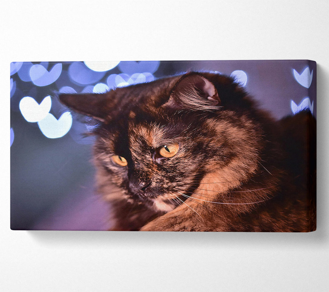  A Canvas Print of Golden Brown Gaze Canvas Wall Art