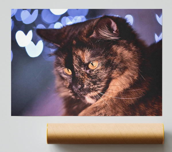 Golden Brown Gaze Giclee Print