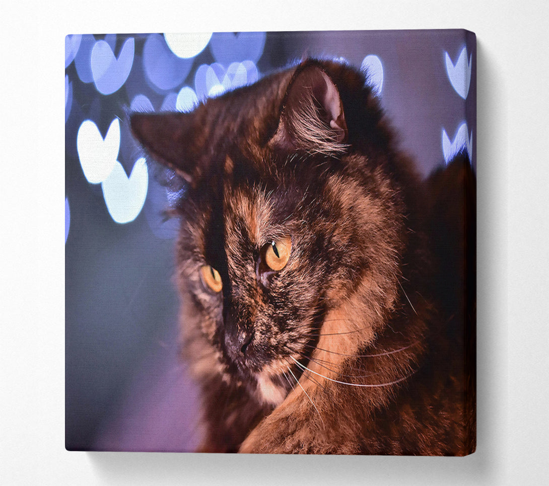  A Canvas Print of Golden Brown Gaze Canvas Wall Art