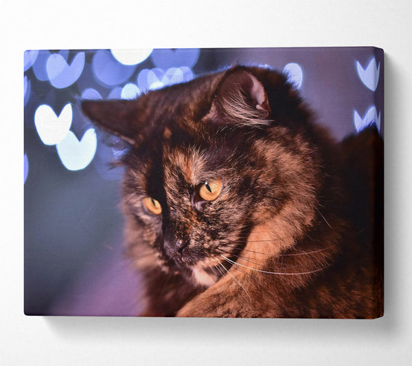  A Canvas Print of Golden Brown Gaze Canvas Wall Art