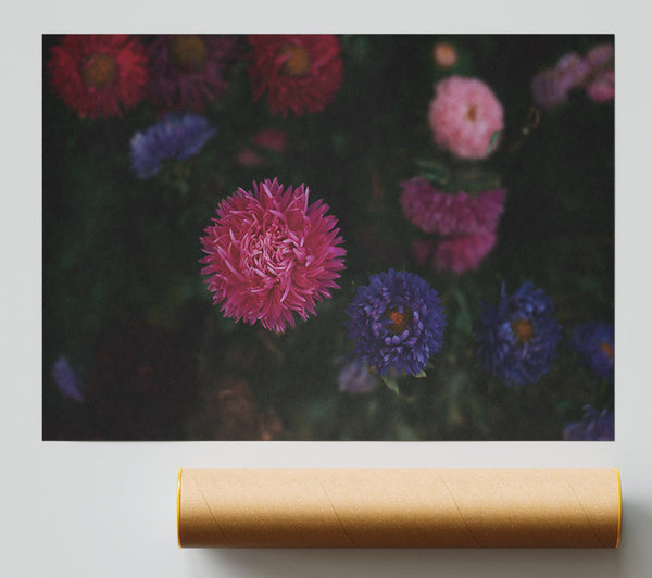 The Pink Blossom Bloom Giclee Print