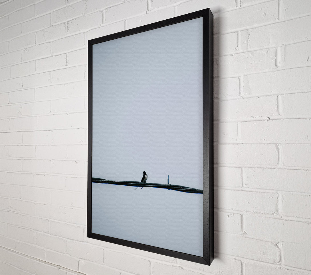  A Canvas Print of Gray Bird On Wire Canvas Art