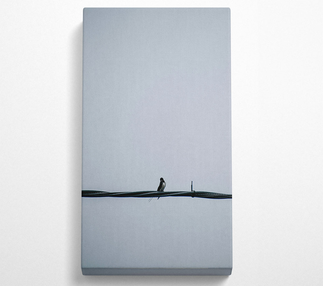  A Canvas Print of Gray Bird On Wire Canvas Art